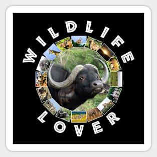 Wildlife Lover Buffalo Grass Sticker